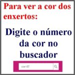 03 - Informações