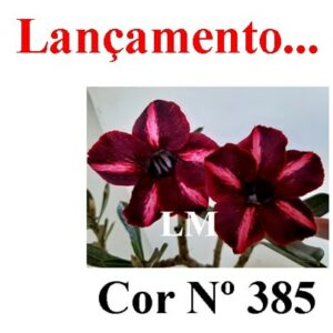 ENXERTO COR LM 385