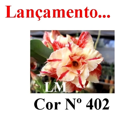 ENXERTO COR LM 402