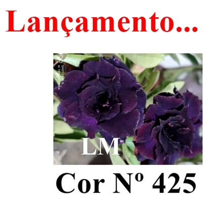 ENXERTO COR LM 425