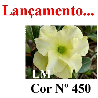 ENXERTO COR LM 450