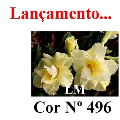ENXERTO COR LM 496