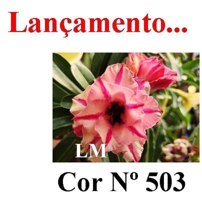 ENXERTO 5159 – 20cm (cor LM 503)