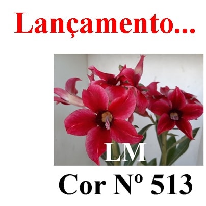 ENXERTO COR LM 513