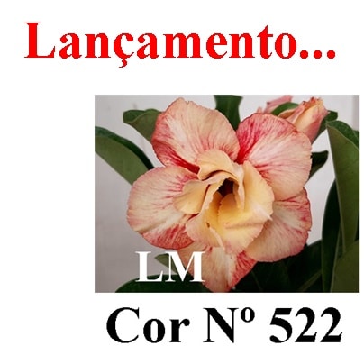 ENXERTO 5204 – 20cm (cor LM 522)