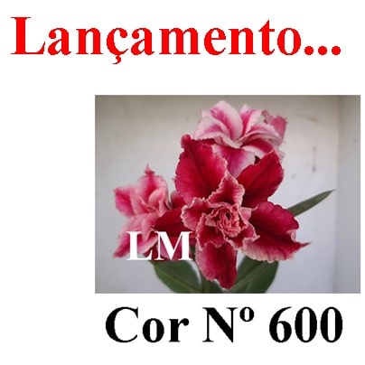 ENXERTO COR LM 600