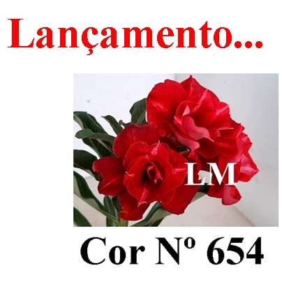 ENXERTO COR LM 654