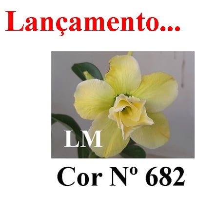 ENXERTO COR LM 682