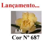 ENXERTO COR LM 687