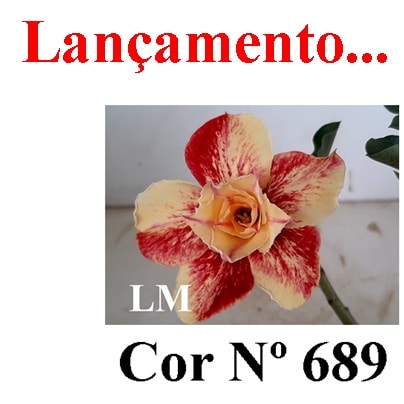 ENXERTO COR LM 689
