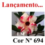 ENXERTO COR LM 694