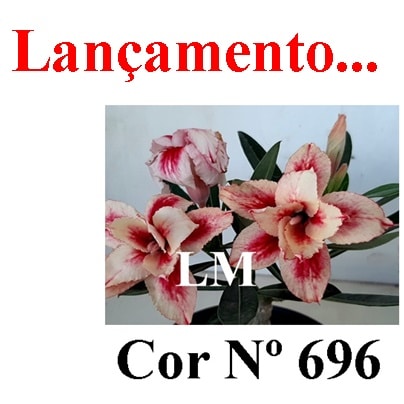 ENXERTO COR LM 696