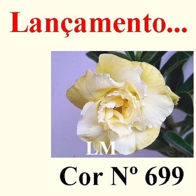 ENXERTO COR LM 699