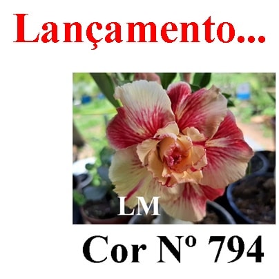 ENXERTO COR LM 794