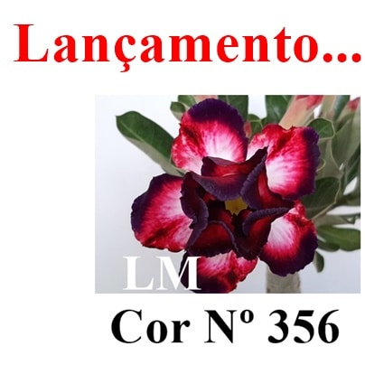 ENXERTO COR LM 356