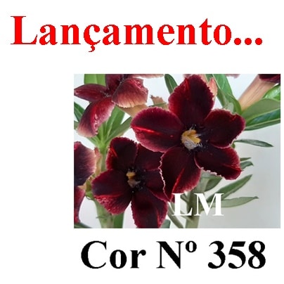 ENXERTO COR LM 358