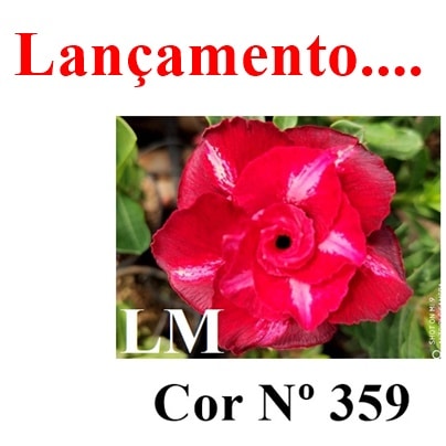 ENXERTO COR LM 359