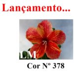 ENXERTO COR LM 378