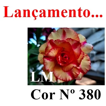 ENXERTO COR LM 380