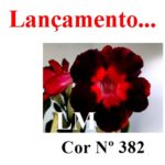 ENXERTO COR LM 382