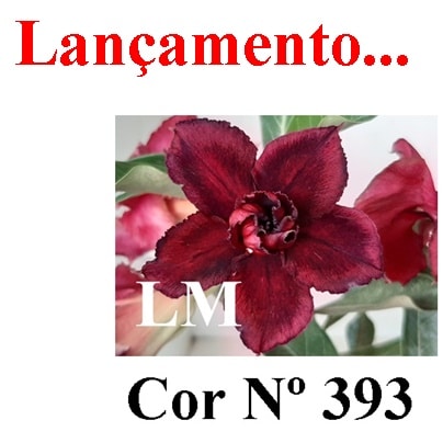 ENXERTO COR LM 393