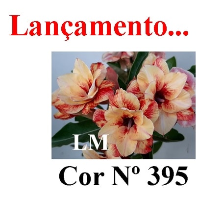 ENXERTO COR LM 395