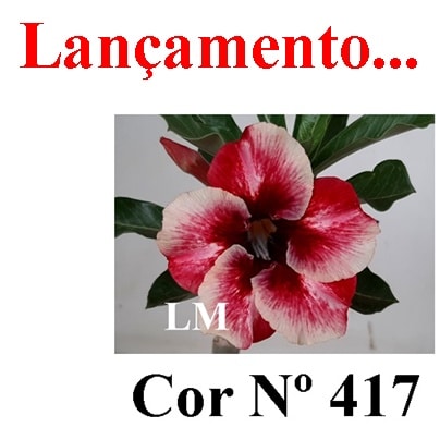 ENXERTO COR LM 417