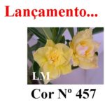 ENXERTO COR LM 457