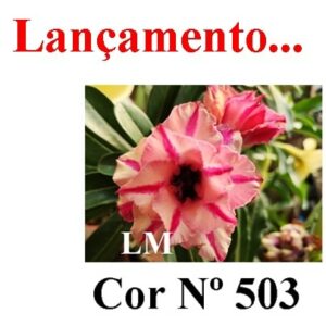 ENXERTO 5487 – 20cm (cor LM 503)