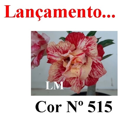 ENXERTO 5094 – 20cm (cor LM 515)