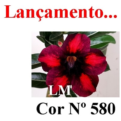 ENXERTO 5496 – 22cm (cor LM 580)