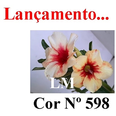 ENXERTO COR LM 598