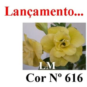 ENXERTO COR LM 616
