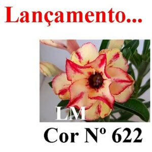 ENXERTO 5418 – 22cm (cor LM 622)