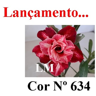 ENXERTO COR LM 634