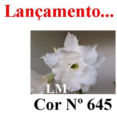 ENXERTO 6726 – 20cm (cor LM 645)