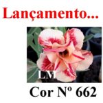 ENXERTO COR LM 662