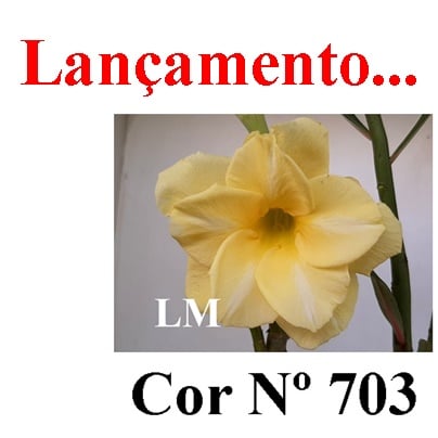 ENXERTO COR LM 703