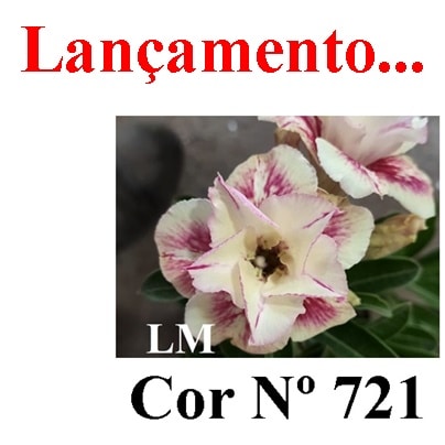 ENXERTO COR LM 721