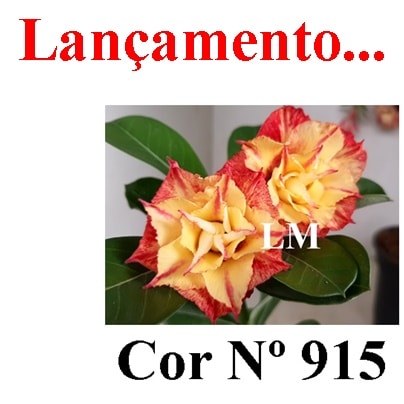 ENXERTO COR LM 915