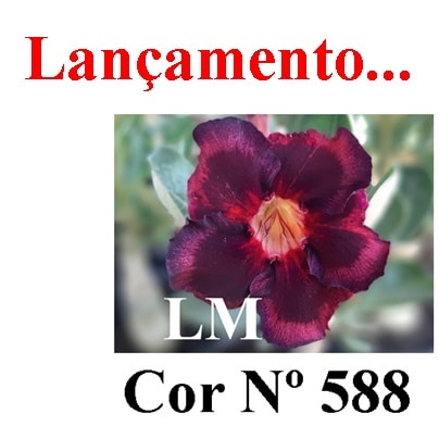 ENXERTO COR LM 588