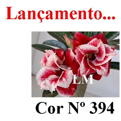 ENXERTO COR LM 394