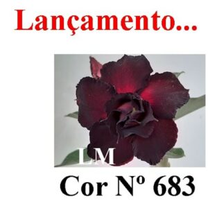 ENXERTO 5502 – 22cm (cor LM 683)