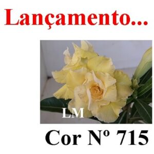 ENXERTO 5529 – 22cm (cor LM 715)