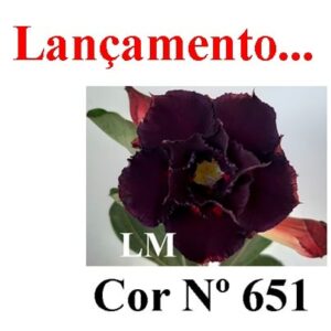 ENXERTO 5790 – 20cm (cor LM 651)