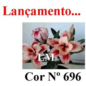 ENXERTO 5682 – 22cm (cor LM 696)