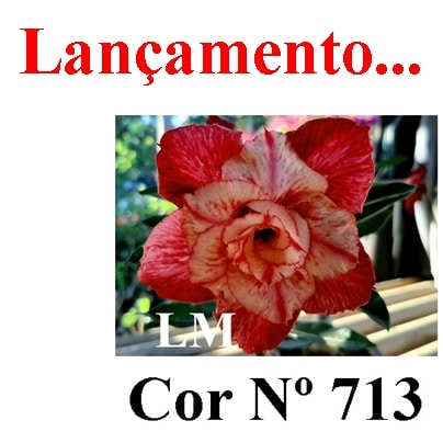 ENXERTO 5732 – 20cm (cor LM 713)