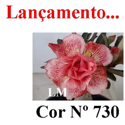 ENXERTO 5750 – 20cm (cor LM 730)