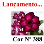 ENXERTO COR LM 388