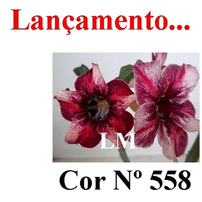 ENXERTO 5910 – 22cm (cor LM 558)